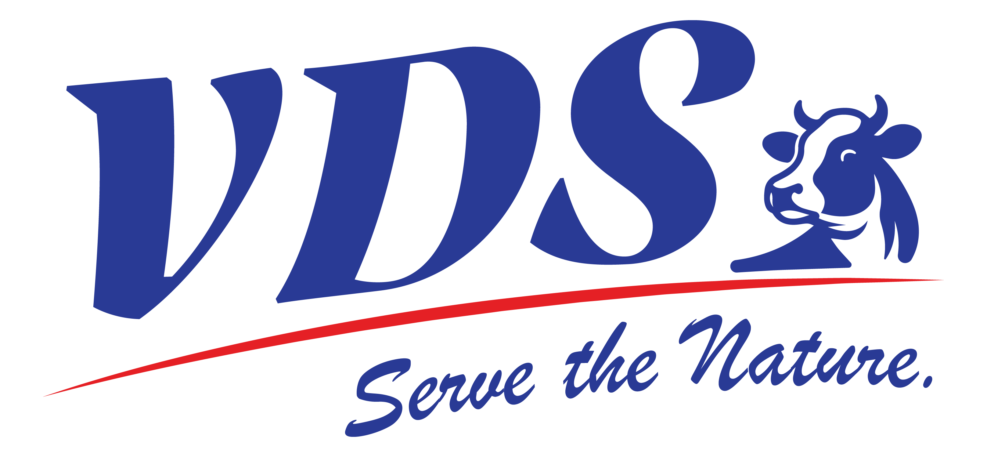 VDS Logo